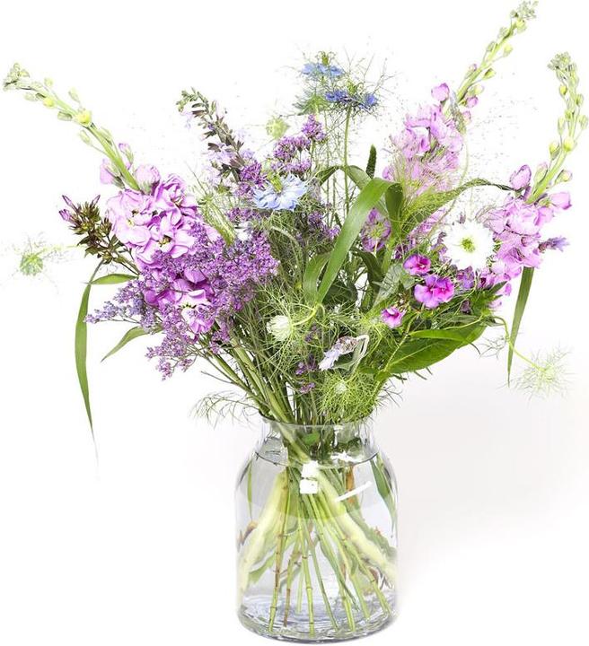 Produktbild VEG and the City Violetta (klein)
