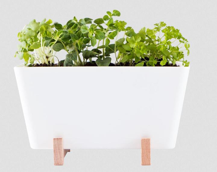 WaterWick PlantBox (14 cm)