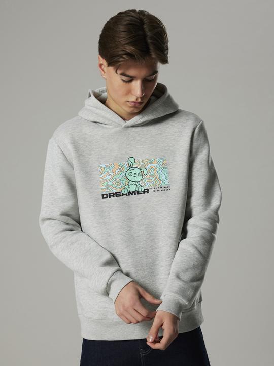 Immagine prodotto Lmtd Loose Fit Hoodie (146)