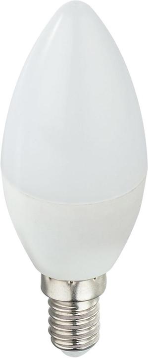 Produktbild Globo LED Leuchtmittel 1xE14 LED (E14, 3 W, 220 lm, 1 x, G)