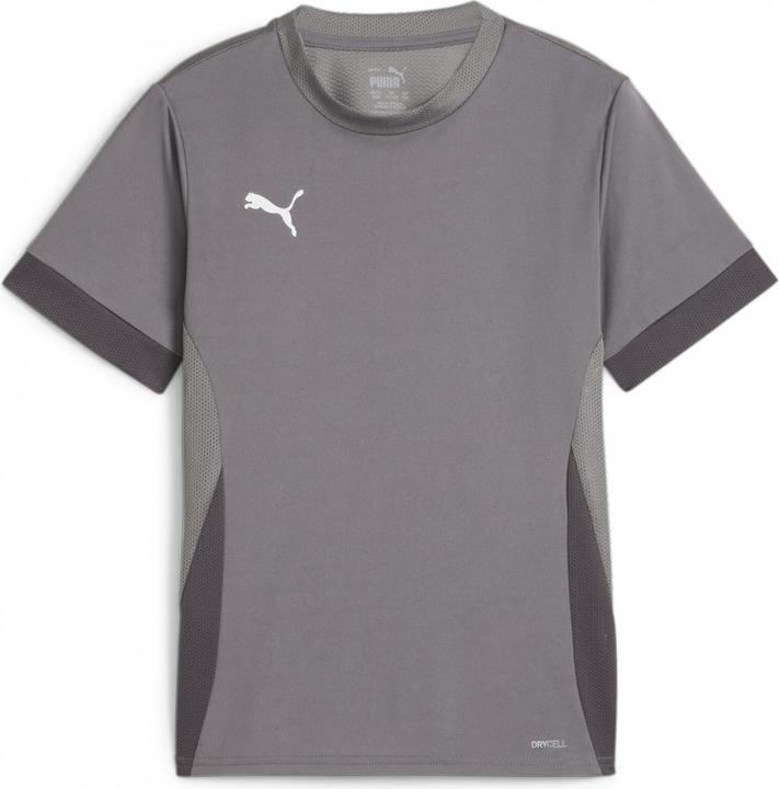 Actual product image Puma teamGOAL Matchday Jersey jr (140)