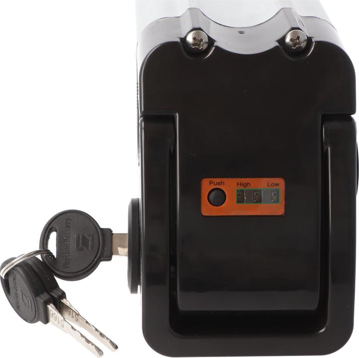 Actual product image AccuCell Phylion XH370-10J e-bike battery 36/37V 12Ah 432Wh Silver Fish (481 Wh, E-Bike battery)