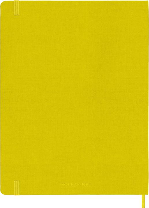 Actual product image Moleskine COLOR - notebooks (25 x 19 cm, Lined)