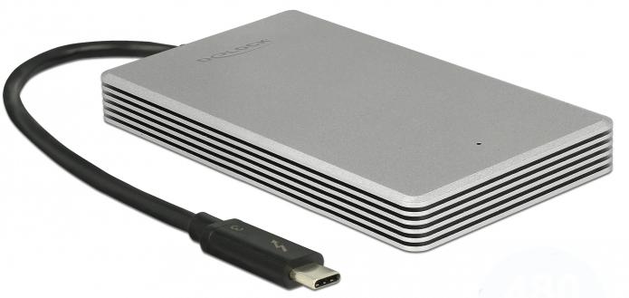 Image du produit Delock Thunderbolt-3 (480 Go)