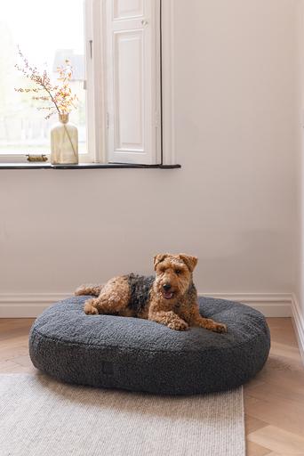 Produktbild Designed by Lotte Liegebett (Hund)