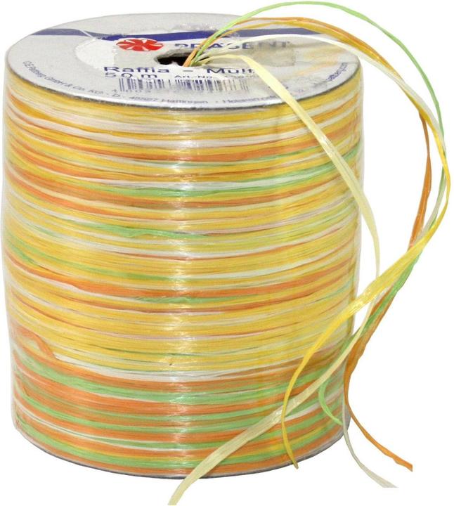 Produktbild Präsent Bast Multi (Geschenkband, 1 x)