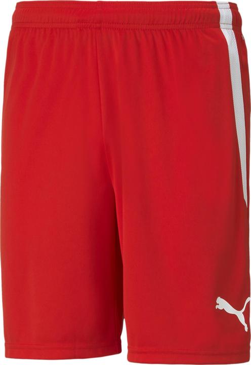 Puma teamLIGA Shorts (XS)