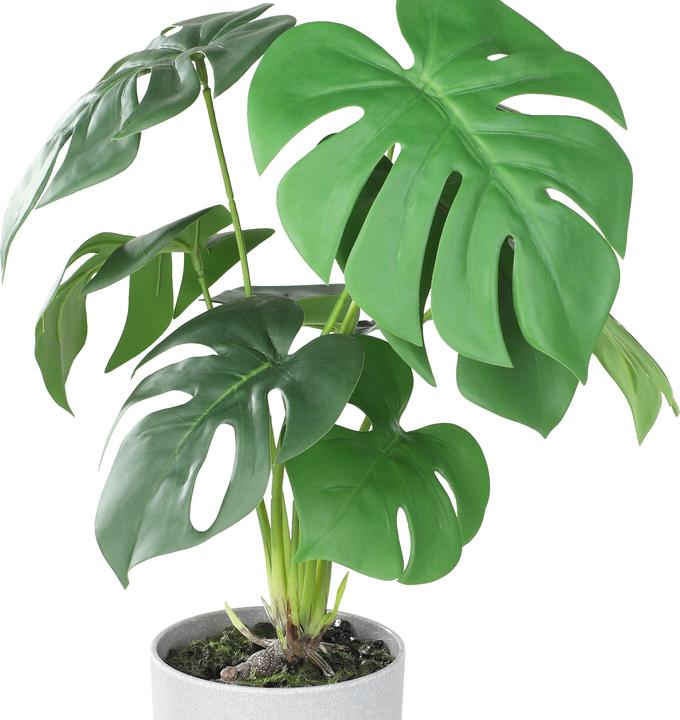 Image du produit EGLO LIVING Tobetsu (42 cm)