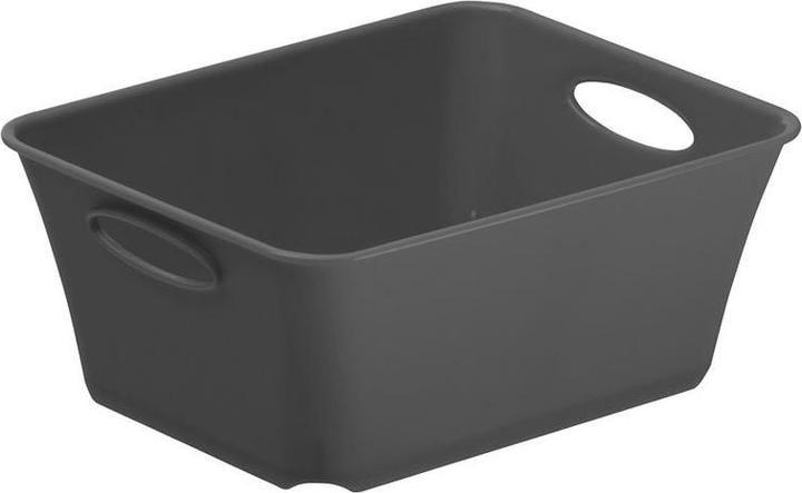 Immagine prodotto Rotho Scatola vivente C7 (11,4 x 6 x 14,6 cm, 0 l)