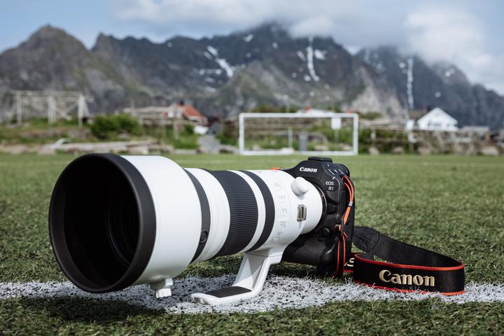 Actual product image Canon EOS R1 (24.20 Mpx, Full frame)