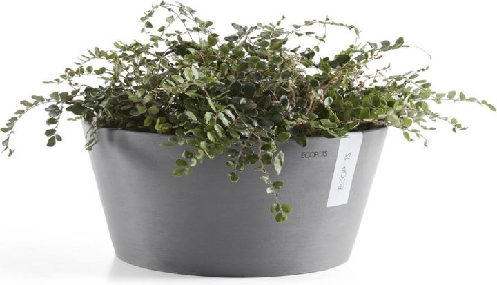 Actual product image Ecopots Frankfurt (30 cm)