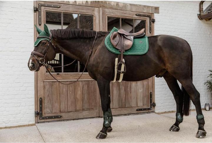 Produktbild Kentucky Horsewear Bambus Elastic