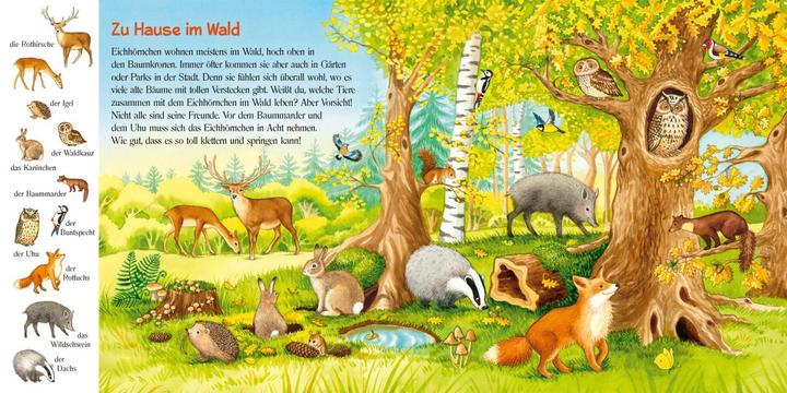Image du produit Prenez soin du petit écureuil (Allemand)