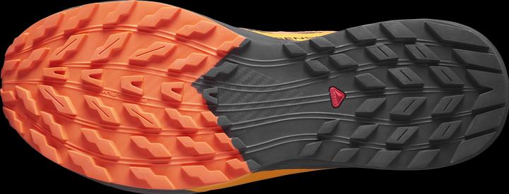 Image du produit Salomon Sense Ride 5 GTX Chaussures de trail running pour hommes (45)