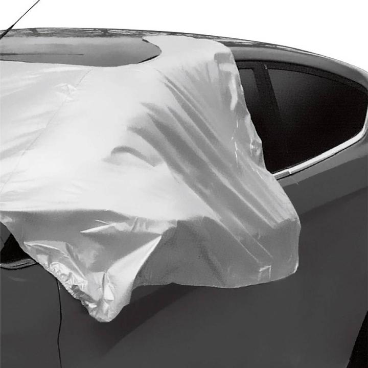 Image du produit IWH Protection de pare-brise contre le gel