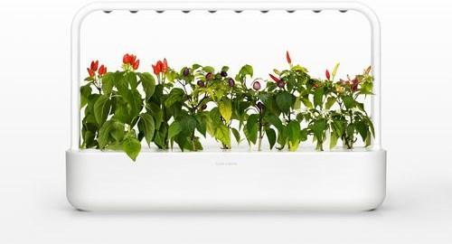 Actual product image Click and Grow Smart Garden 9 (62.50 cm)