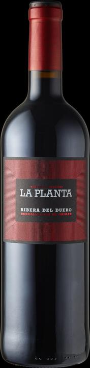Produktbild Bodegas Arzuaga Navarro Ribera del Duero D.O. La Planta 0.75 l (1 x 75 cl, 2022)