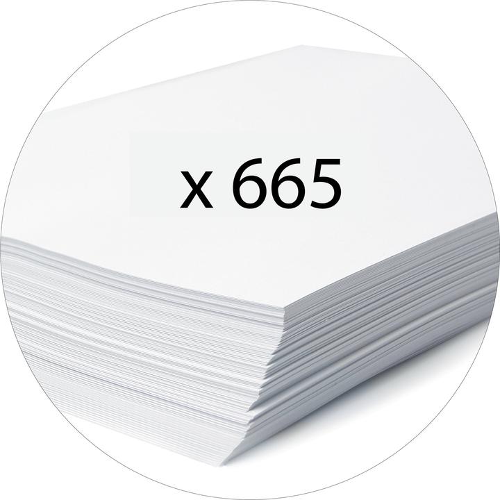 Actual product image Exacompta Folder (A4, 60 mm, 70 Piece)