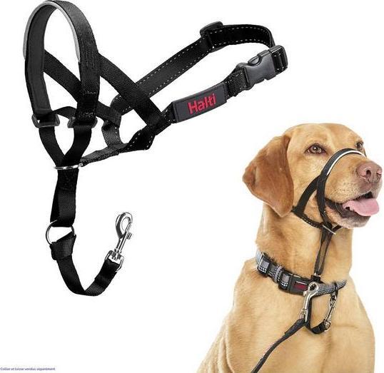 Produktbild Company of Animals Haiti (One Size, Hund, Hundesport)