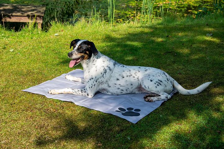 Immagine prodotto Dobar Tappeto di raffreddamento (Cane)