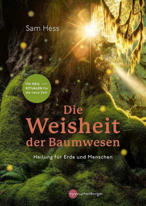Produktbild Die Weisheit der Baumwesen (Deutsch, Silke Weiss, Sam Hess, 2024)