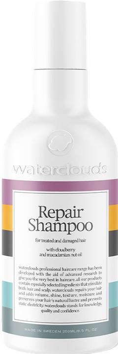 Immagine prodotto Waterclouds Riparazione (250 ml, Shampoo liquido)