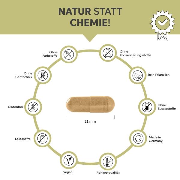 Produktbild Eltabia Bio Ashwagandha Kapseln 100 (100 Stück, Kapseln)