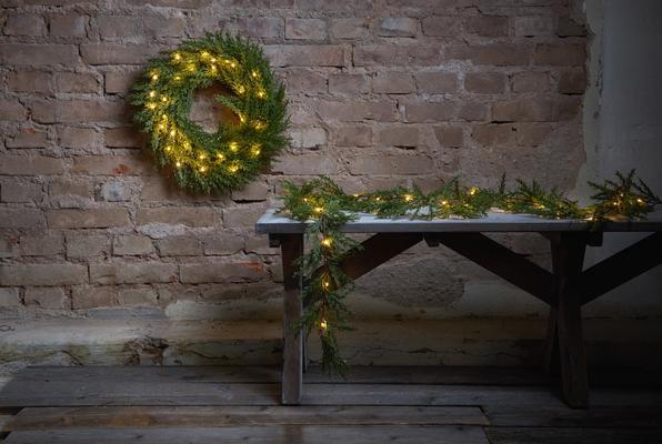 Image du produit Star Trading Thuja