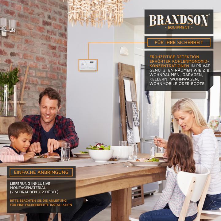 Actual product image Brandson CO-Melder