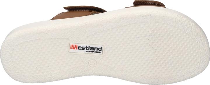 Actual product image Westland 25403-409 (37)