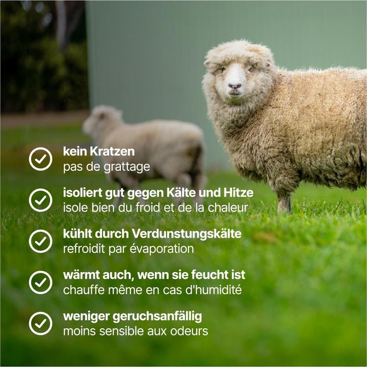 Actual product image Lasting QUIDO Merino Wool Men T-Shirt 160gr (M)