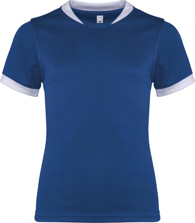 darkroyalblue