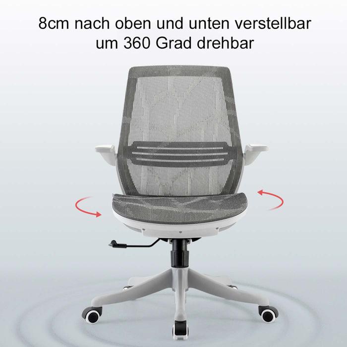 Image du produit Sihoo Chaise de bureau avec soutien lombaire
