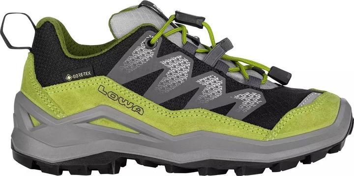 Image du produit Lowa Maddox Pro GTX LO (39)