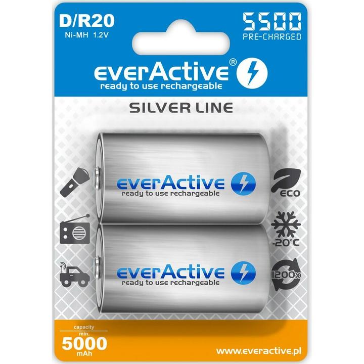 Everactive Rechargeable batteries R20/D Ni-MH 5500 mAh ready to use - Batterie - Mono (D) (2 Stk., D, 5500 mAh)