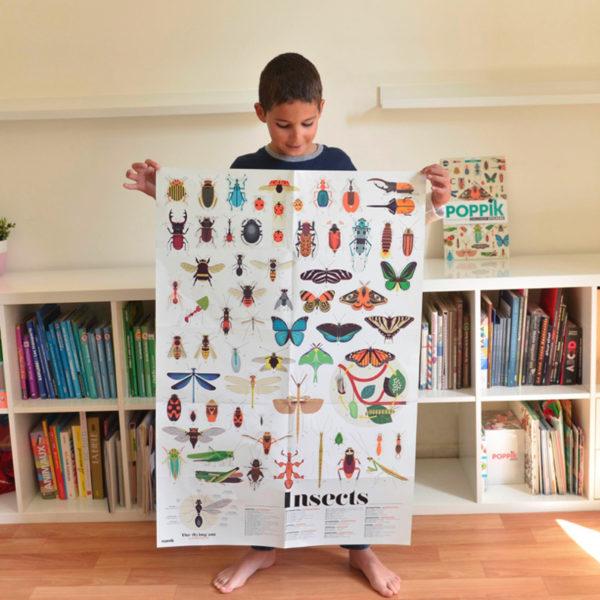 Image du produit Poppik Autocollants Poster éducatif Insectes