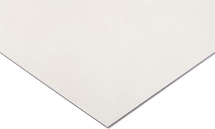 Productafbeelding Rs Pro Polycarbonaat paneel 3x610x1250mm (1 Pcs.)