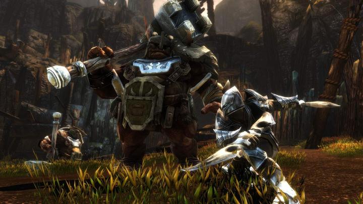 Image du produit THQ Kingdoms of Amalur - Reckoning Edition définitive (PS4, IT, FR)