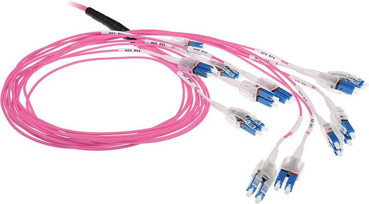 Immagine prodotto 5 metri di cavo in fibra multimodale 50/125 OM4 pretermesso 24F LC Polarity Twist (CAT6, 5 m)