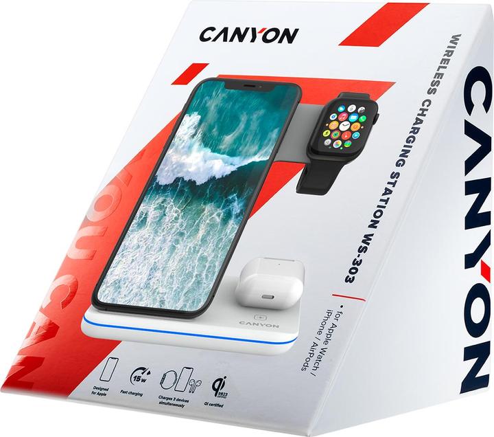 Actual product image Canyon WS-303 (15 W)