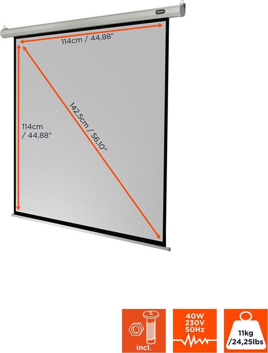 Actual product image Celexon Economy electric screen - screen - ceiling mounting possible, suitable for wall mounting (120", 1:1)