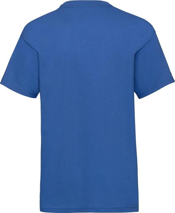 Actual product image Fruit of the Loom UTBC329 P (104)