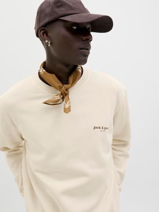 Immagine prodotto Jack & Jones Jjedover Print Sweat Crew Neck (XS)