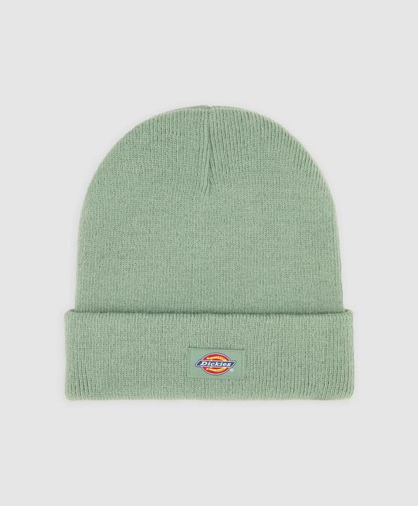 Actual product image Dickies Gibsland Beanie