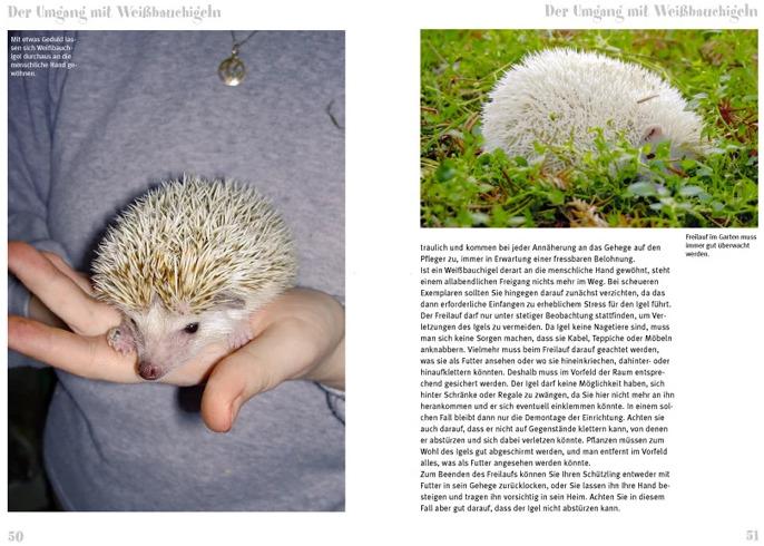 Produktbild Weissbauchigel (Deutsch, Daniela Guist, 2014)