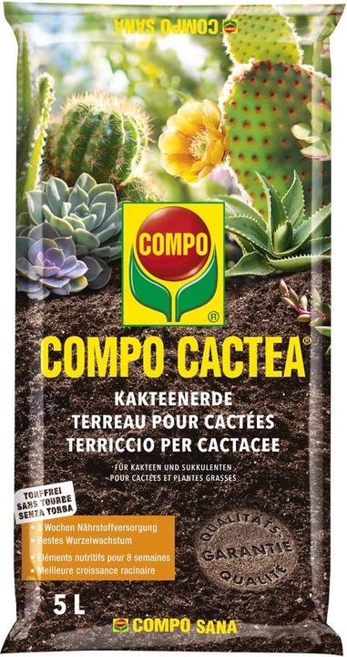 Compo CACTEA Terreau pour cactées - sans tourbe (5 l, Sol sans tourbe)