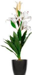 Produktbild Paperflow LILIENBLUME Kunstpflanze 65,0 cm (65 cm)