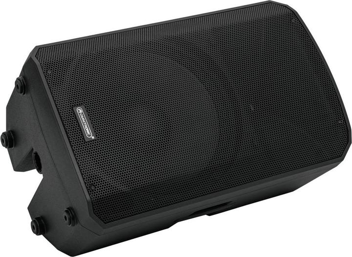Actual product image Omnitronic VFM-215 MK2 2-way loudspeaker (Passive)