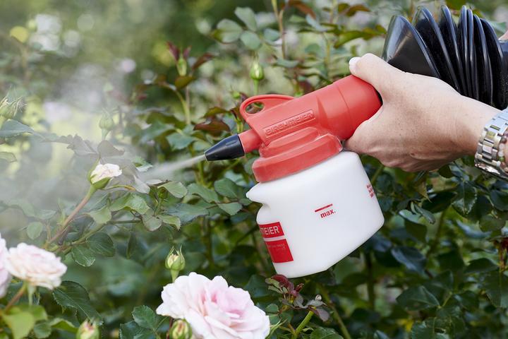 Produktbild Birchmeier Bobby 0.5 (0.50 l)