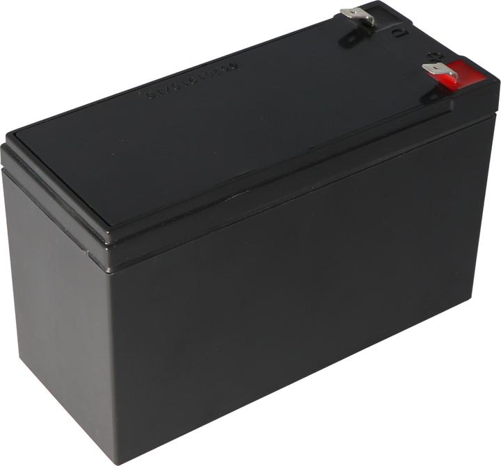 Actual product image Fiamm Akku 12FGH36
